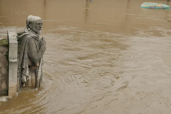 De rivier de Seine in Parijs is op het hoogste niveau voor meer dan 30 jaar. Zouaaf standbeeld — Stockfoto