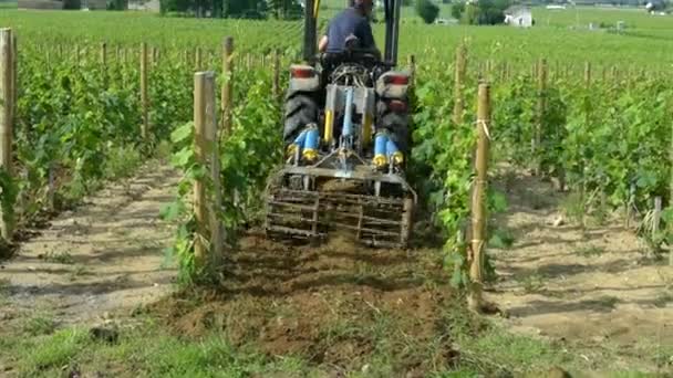 Tractor arando el suelo para su cultivo — Vídeos de Stock