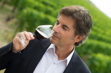 Winery içinde kırmızı şarap içme portre sırdaş şarap tüccarı