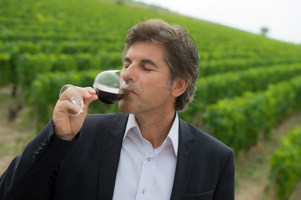 Portrait confidant vintner drinking red wine in winery — Stock Photo, Image