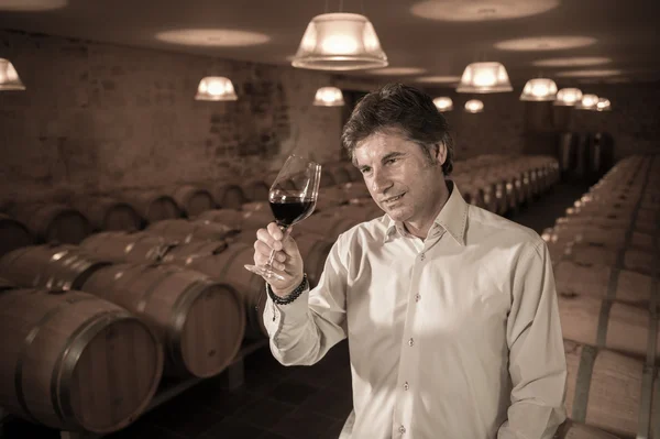 Portrait vigneron confident buvant du vin rouge dans la cave — Photo