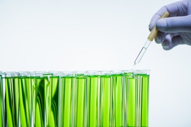 Laboratuvar, yeşil test tüpüne eklenmekte pipet