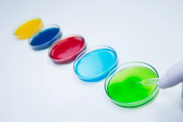 Εργαστηριακού χώρου χρωματιστό υγρό σε τρυβλία Petri — Φωτογραφία Αρχείου