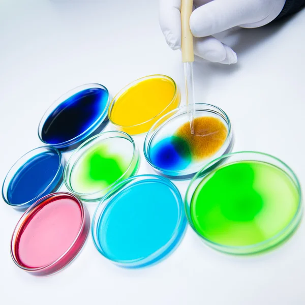 Pipetagem de líquido colorido em placas de Petri — Fotografia de Stock