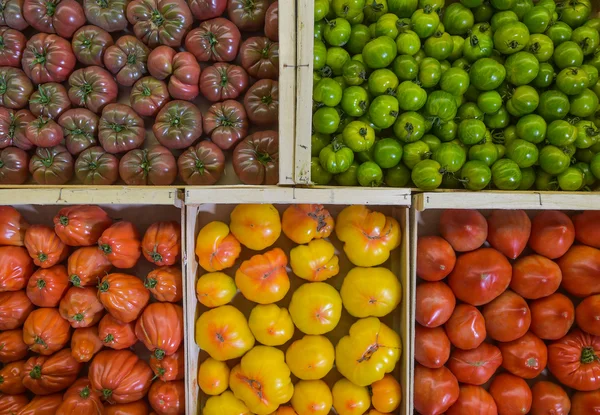 Tiro de marco completo de varios tomates en contenedores — Foto de Stock