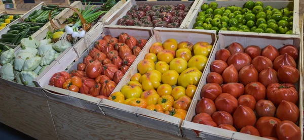 Tiro de marco completo de varios tomates en contenedores — Foto de Stock