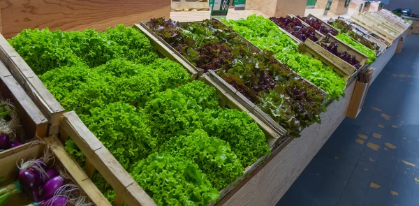 Gemüse zum Verkauf im Supermarkt, Salate — Stockfoto