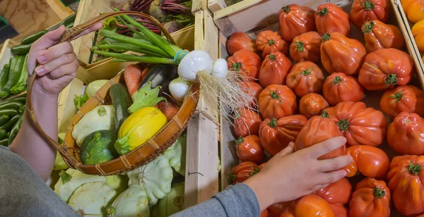 Cierre de la mano recogiendo tomate de la cesta . — Foto de Stock