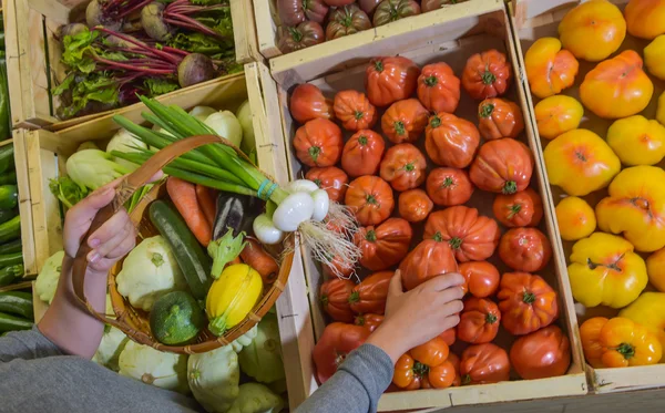 Cierre de la mano recogiendo tomate de la cesta . — Foto de Stock