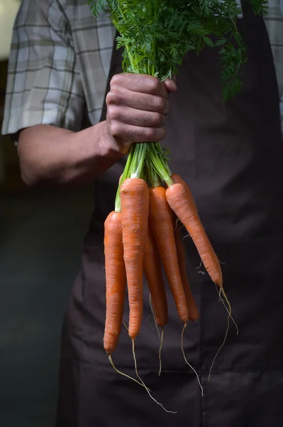 Frutas y verduras ecológicas. Campesinos manos con zanahorias recién cosechadas . — Foto de Stock