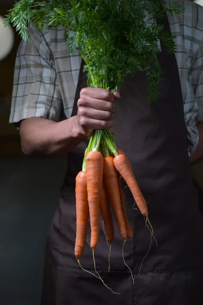 Frutas y verduras ecológicas. Campesinos manos con zanahorias recién cosechadas . — Foto de Stock