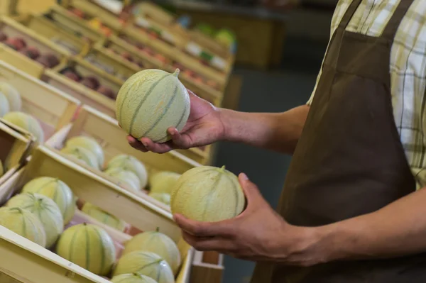 Elige un melón en la mano — Foto de Stock