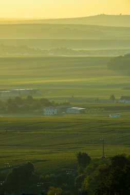 Şampanya üzüm bağları Villedomange Marne bölümü, Fransa
