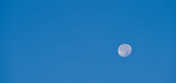Полная луна над голубым небом на закате — стоковое фото