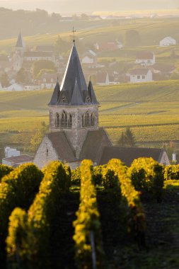 Şampanya üzüm bağları Villedomange Marne bölümü, Fransa