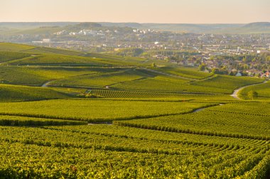 Marne bölümü, Fransa şampanya üzüm bağları