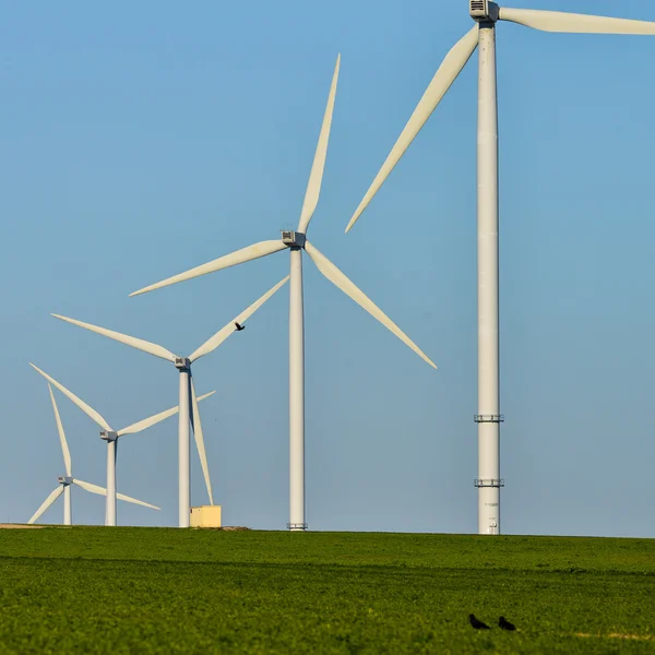 Windmills for electric power production on blue sky — Stock Photo, Image