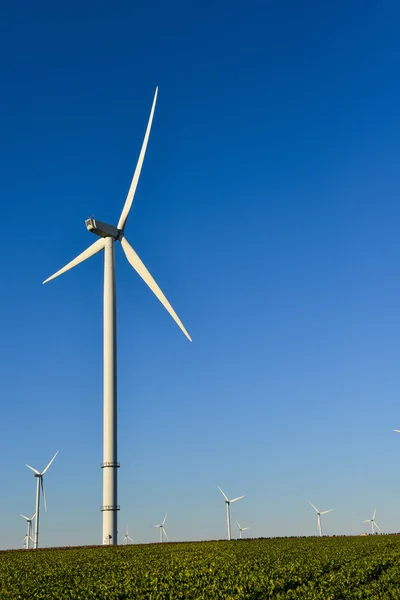 Windmills for electric power production on blue sky — Stock Photo, Image