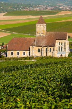 Şampanya üzüm bağları Cuis Marne bölümü, Fransa