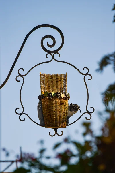 Taught winemaker Champagne vineyards Oger in Marne department France — Stock Photo, Image