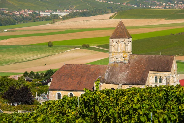 Šampaňské vinice Cuis départementu Marne, Francie — Stock fotografie