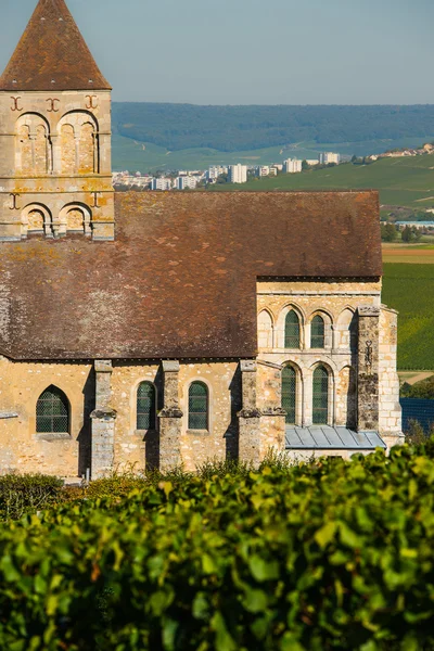 Viñedos de champán Cuis departamento Marne, Francia — Foto de Stock