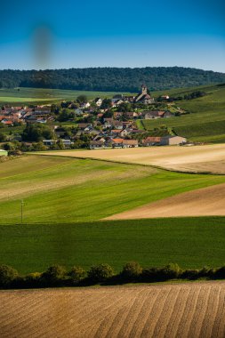 Şampanya üzüm bağları Cuis Marne bölümü, Fransa