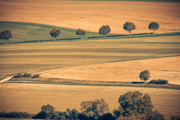 Campi Marroni Paesaggio Champagne Marne — Foto Stock