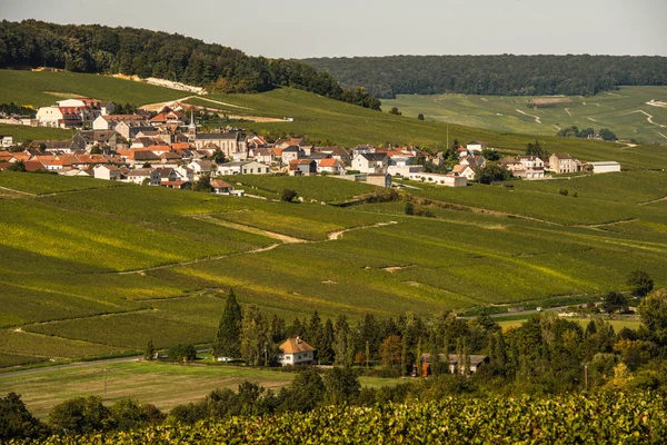 Šampaňským vinicemi Mancy départementu Marne, Francie — Stock fotografie