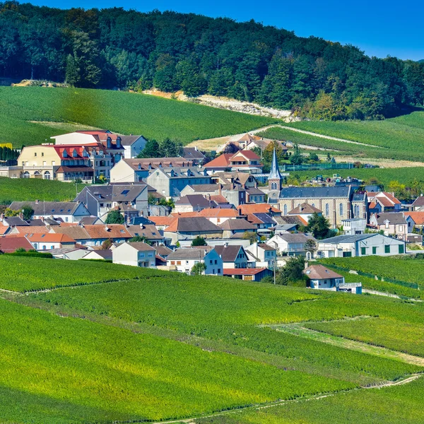 Šampaňským vinicemi Mancy départementu Marne, Francie — Stock fotografie