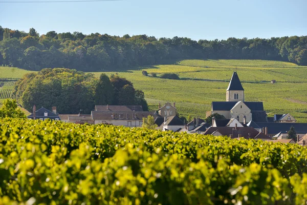 Champagne vineyards and church in Marne department, France — Stock Photo, Image