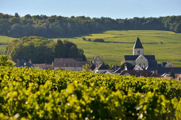 Champagne-szőlőhegy és egyház Franciaországban Marne, Franciaország — Stock Fotó