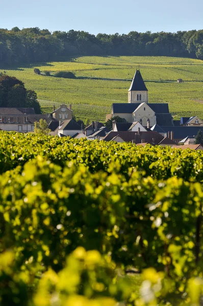 Wijngaarden van de Champagne en de kerk in het Franse departement Marne — Stockfoto