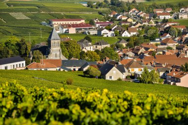 Şampanya üzüm bağları Mancy Marne bölümü, Fransa