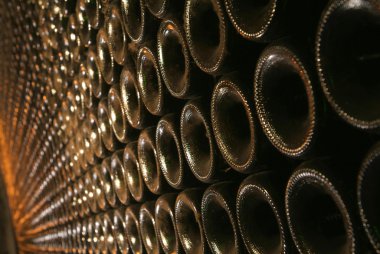 Şarap fıçıları mahzende..