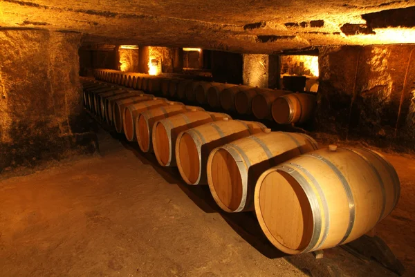 Wine barrels in cellar. — Stock Photo, Image