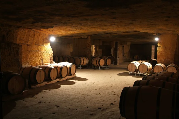 Wine barrels in cellar. — Stock Photo, Image
