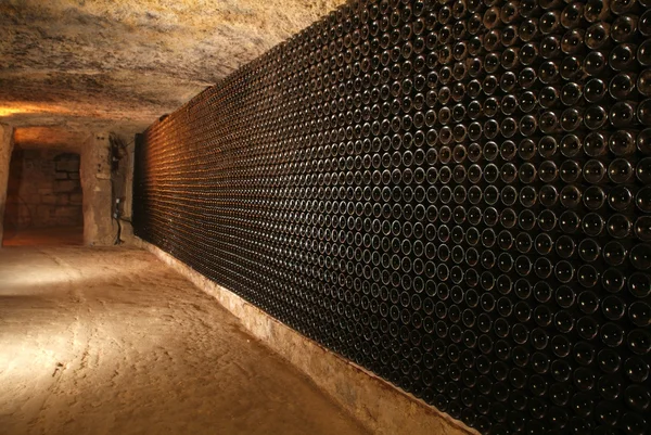 Wine barrels in cellar. — Stock Photo, Image