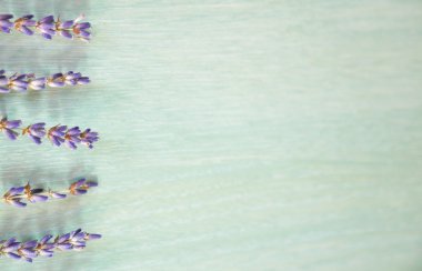 Mavi adam, çiçekler ve bitkiler üzerine lavande grup