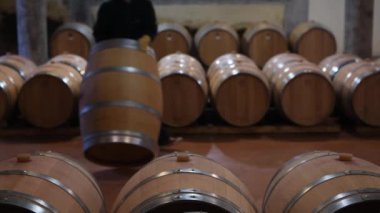 Şarap üreticisi, depolamak için mahzenine bir fıçı yuvarlar Bordeaux Vineyard.