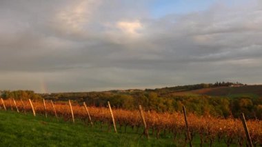 Timelapse Bordeaux Vineyard sonbaharda gün doğumunda, Entre deux mers, Langoiran, Gironde