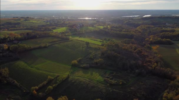 Vue aérienne vignoble bordeaux en automne, paysage vignoble — Video