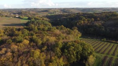 Sonbaharda Bordeaux üzüm bağları, manzara üzüm bağları 