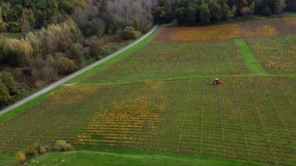 Widok z lotu ptaka bordeaux winnica jesienią, krajobraz winnica — Wideo stockowe