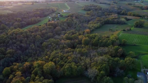Vinha bordeaux vista aérea no outono, vinhedo paisagem — Vídeo de Stock