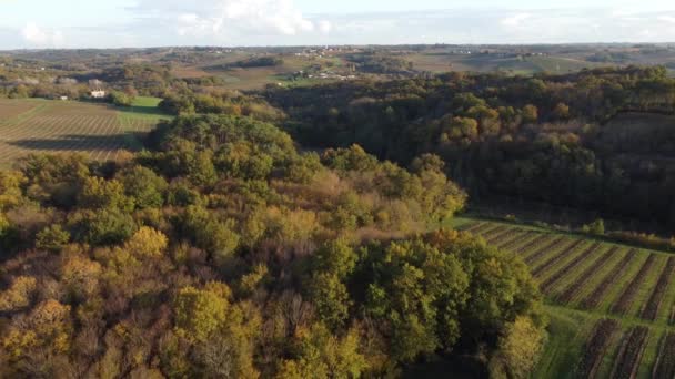 Widok z lotu ptaka bordeaux winnica jesienią, krajobraz winnica — Wideo stockowe