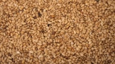 Susam tohumları, doğal kuru çiğ organik gıda tahılları