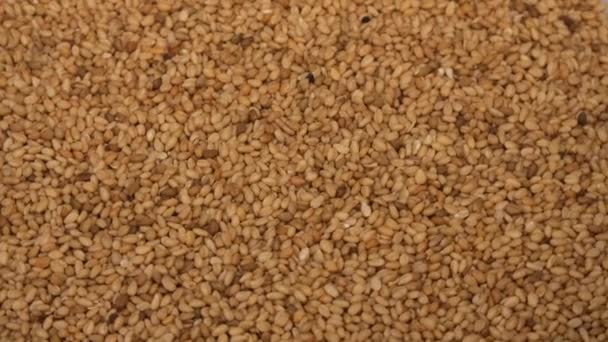 Semillas de sésamo, grano de alimento orgánico seco natural — Vídeos de Stock