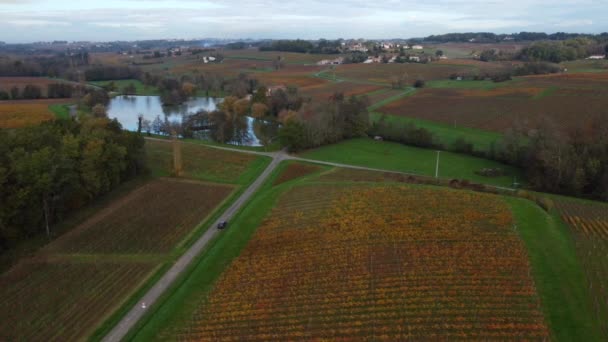 Widok z lotu ptaka bordeaux winnica jesienią, krajobraz winnica — Wideo stockowe