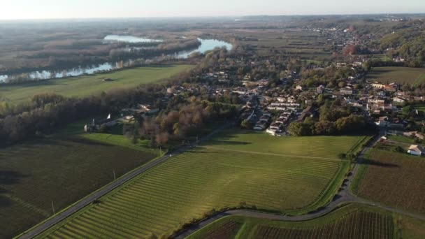 Vista aérea viñedo de Burdeos, viñedo de paisaje al suroeste de Francia, Europa — Vídeos de Stock